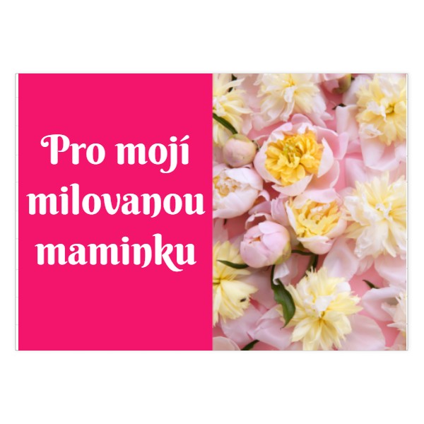 Puzzle velké s potiskem Pro mojí milovanou maminku